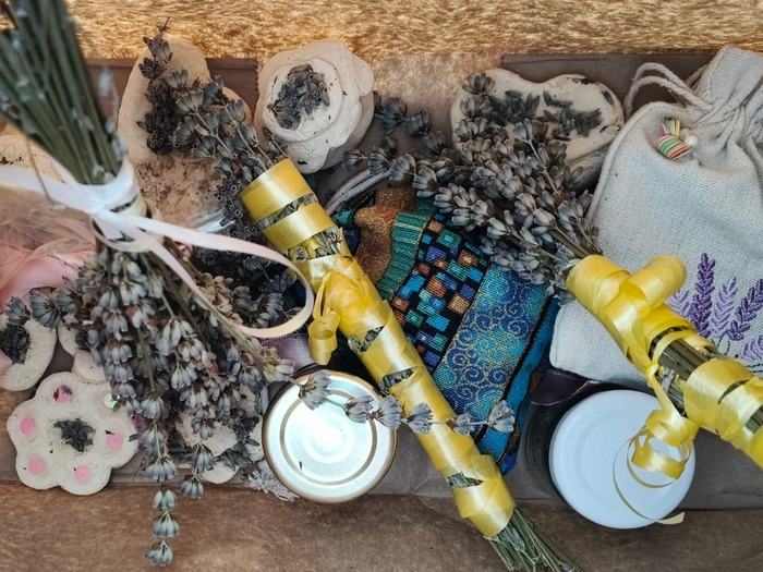 Alles aus dem Lavendel-Workshop